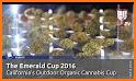 The Emerald Cup related image