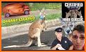 Feckless Kangaroo Escape related image
