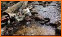 Gem Sieve related image