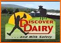 Discover Dairy related image