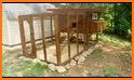 Chicken Coop Plans related image