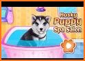 Husky Puppy Spa Salon related image