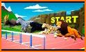 Forest Animals Racing - Wild Animal Battle 2019 related image