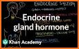 Endocrine and Metabolic Nursing Care Plans related image