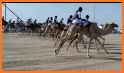 Camel Racing related image