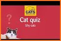 Cats Quiz related image
