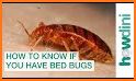 Bed Bug Field Guide related image
