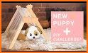 Pet Puppy House Decoration related image