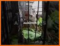 Pets Market Buy, Sell & Adopt related image