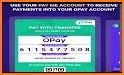 OPay Checkout related image