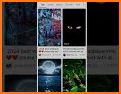 Tok Tok Video Wallpaper related image