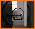 Jumping Wheel related image