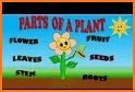 Spelling Plants related image