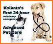 Advanced Pet Care of Parker related image