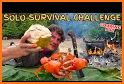 Wild Island Survival related image