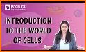 The World of Cells related image