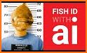 Fish Identification - Fish Id related image