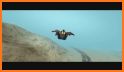 Wingsuit Simulator 3D - Skydiving Game related image