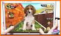 Virtual Puppy Simulator Pet Dog Sim Adventure Game related image