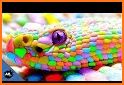 Snake And Color related image