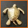 Golden Turtle related image