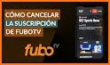 Fútbol TV Guía related image