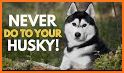 Husky Control related image