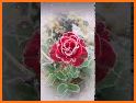Flowers And Roses Animated Images Gif pictures 4K related image