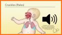 Auscultation ( Heart & Lung Sounds) related image