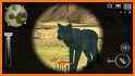 Deer Hunter 3D – Offline Games related image