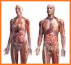 HUMAN ANATOMY & PHYSIOLOGY related image