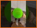 Match Ball 3D related image