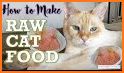 Cat food recipes – Homemade cat food related image