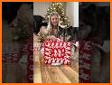 Xmas Dog WF by HuskyDEV related image