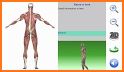 Visual Anatomy 3D | Human related image