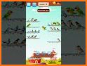 Birds Sort: Puzzle Game related image