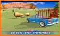 Eid Animals Transport Service in Cargo Truck related image