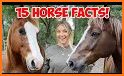 horse Info related image