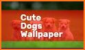 Dogs Wallpaper related image
