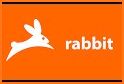 Rabbit – Watch Together related image