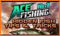 Ace Fishing: Wild Catch related image