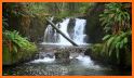 Forest Waterfall Theme related image