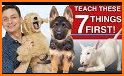 Dog Training : 101 related image