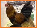 Midwest Poultry Federation related image