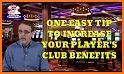 Victory Betting Tips Majesty VIP related image