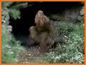 Workin' with Sasquatch related image