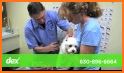 Imperial Animal Hospital LLC related image