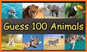 Animals Questions related image