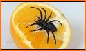 Spider related image