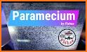 Paramecium Camera related image
